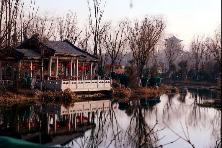 微信图片_20190225154834.jpg