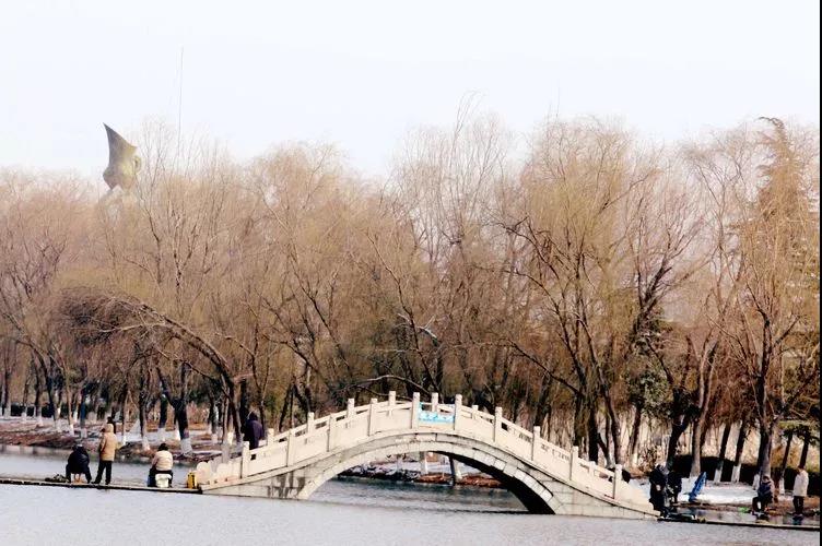 微信图片_20190225154911.jpg