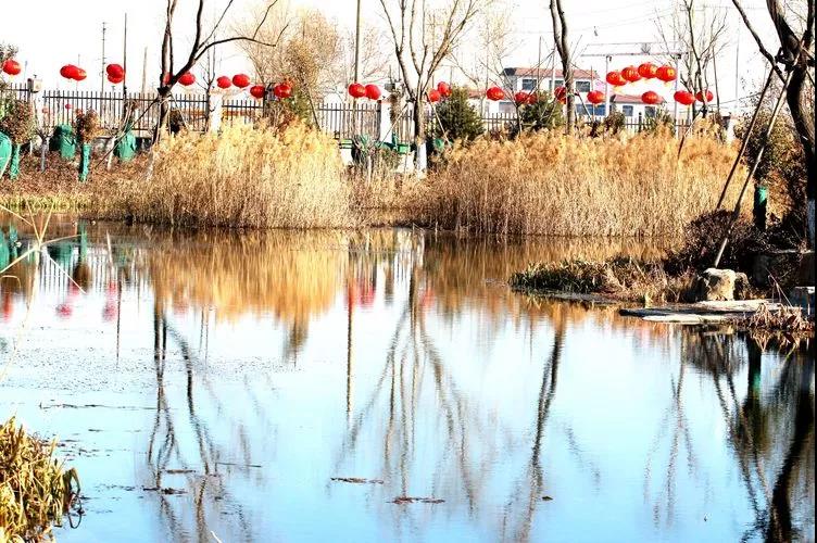 微信图片_20190225154945.jpg