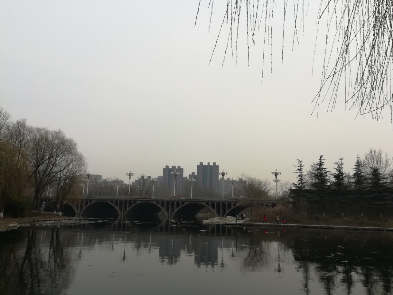 20190228_97521_1551327686989.jpg