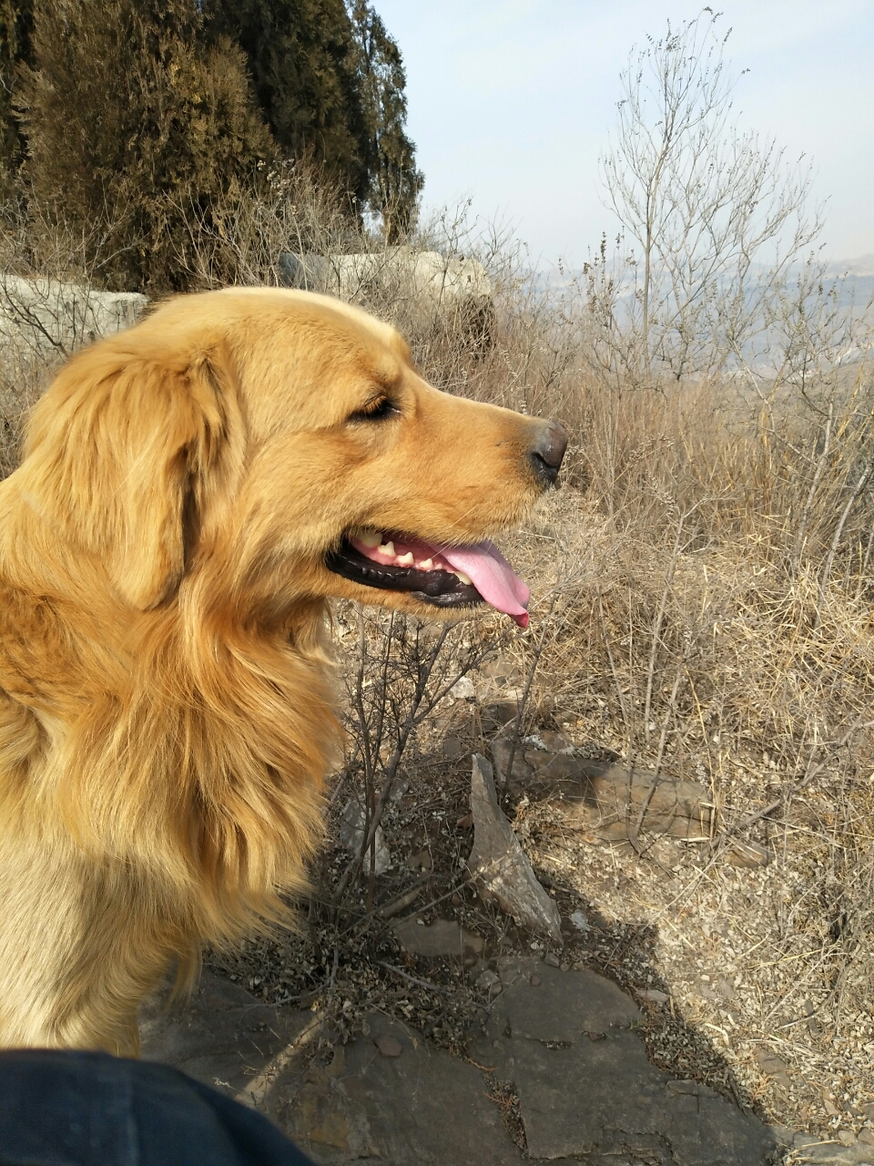 20190301_72374_1551417229339.jpg