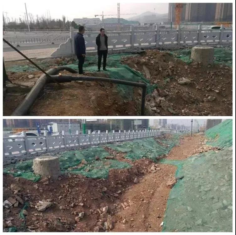 微信图片_20190302115529.jpg