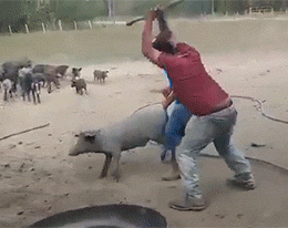 20190303_2762_1551565380868.gif