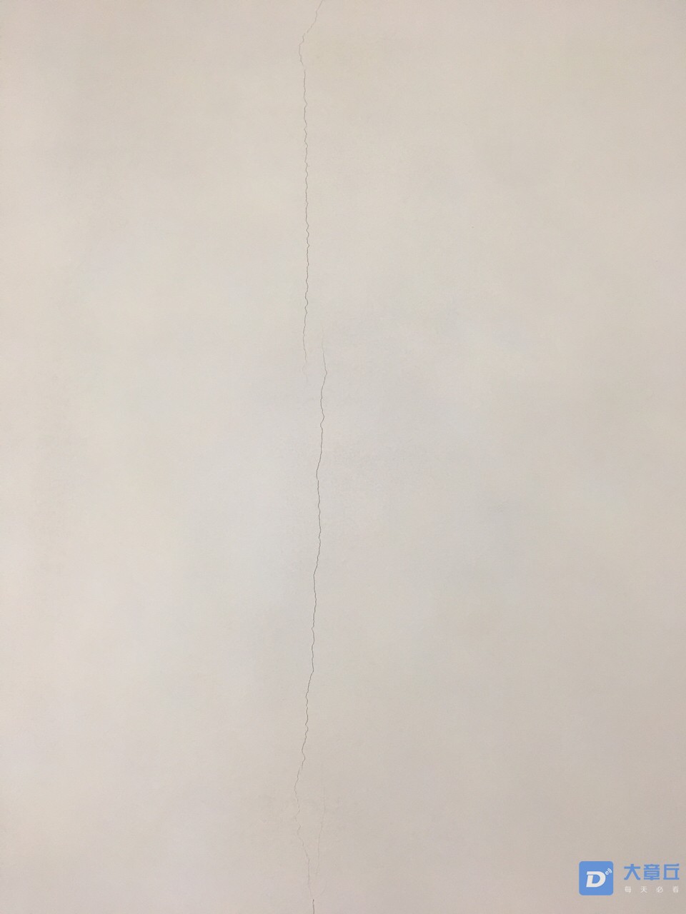 20190303888391551621602675919.jpg