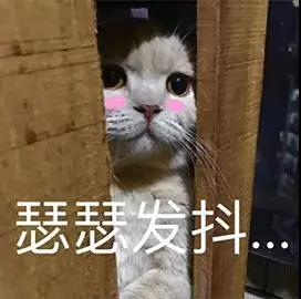 微信图片_20190304140742.jpg