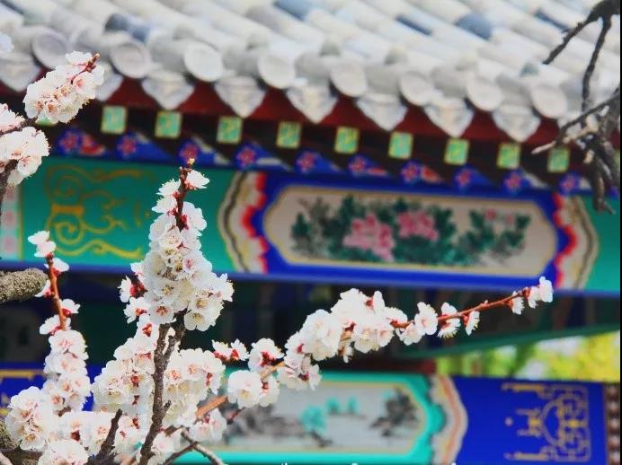 微信图片_20190304145757.jpg