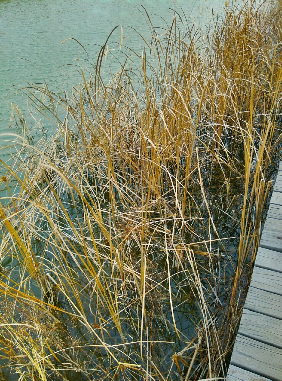 20190304_89181_1551692366395.jpg