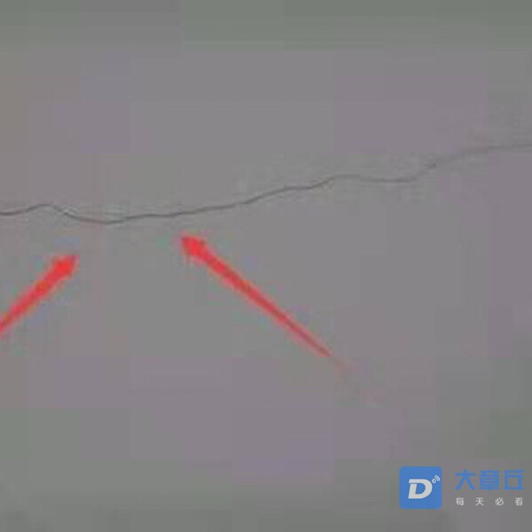 20190307992231551919967398924.jpg