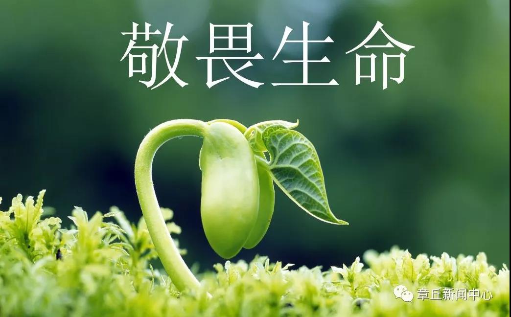 微信图片_20190307164211.jpg