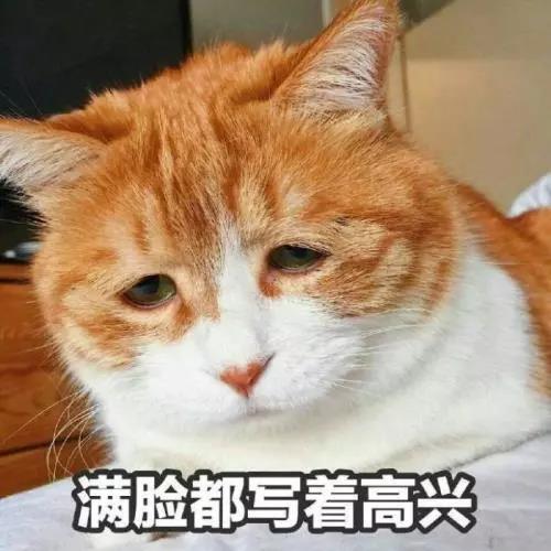 微信图片_20190308134350.jpg