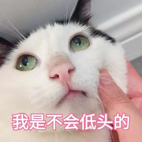 微信图片_20190308134356.jpg