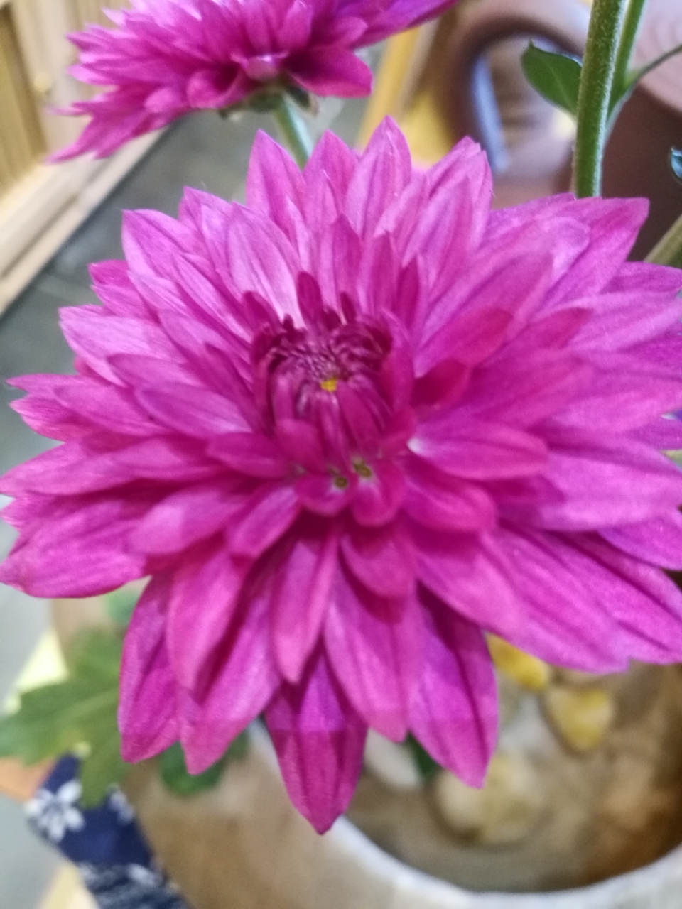 20190309_94383_1552089529183.jpg