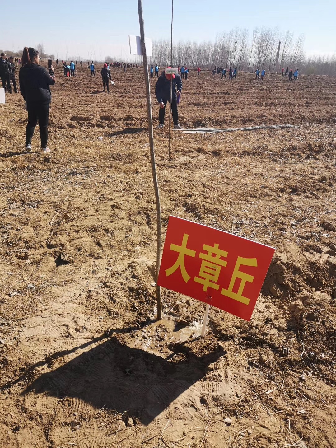 微信图片_20190312142750.jpg