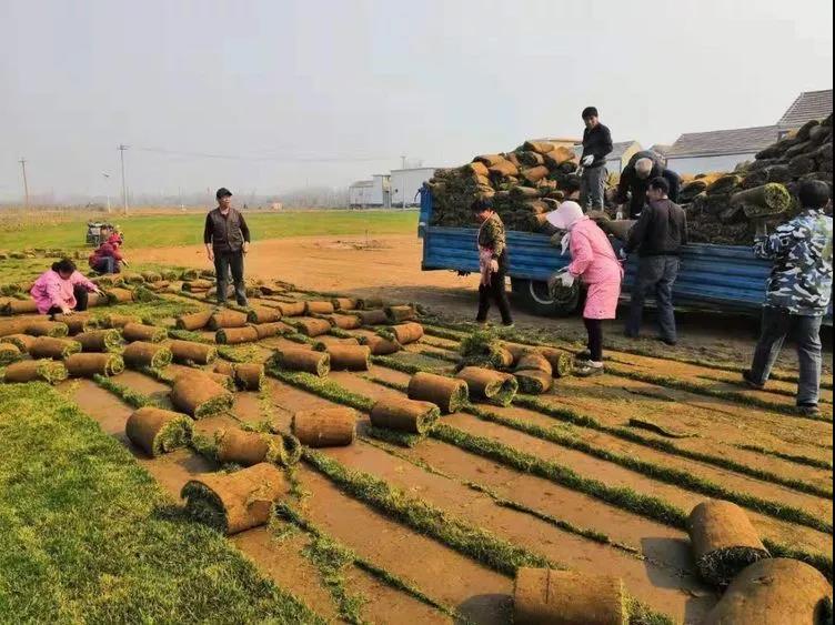 微信图片_20190312192050.jpg