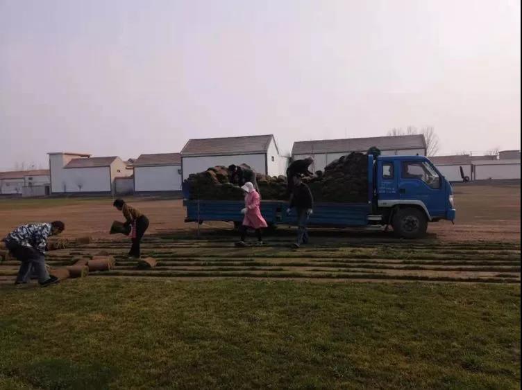 微信图片_20190312192055.jpg