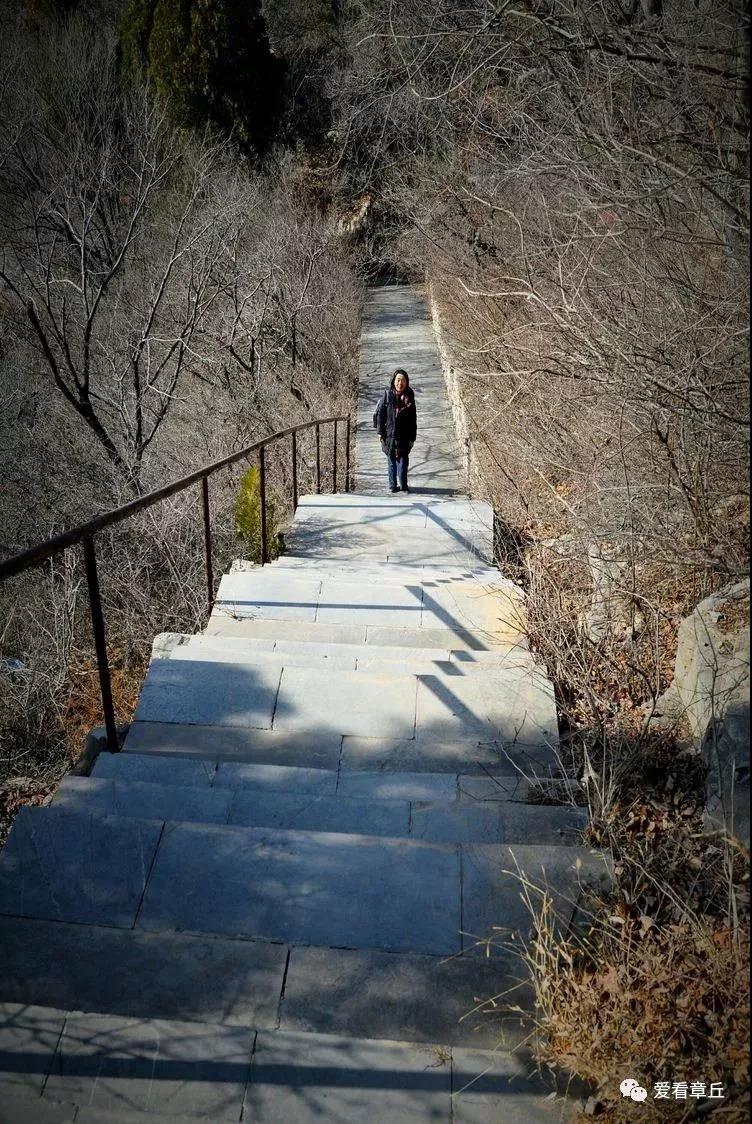 微信图片_20190315084438.jpg