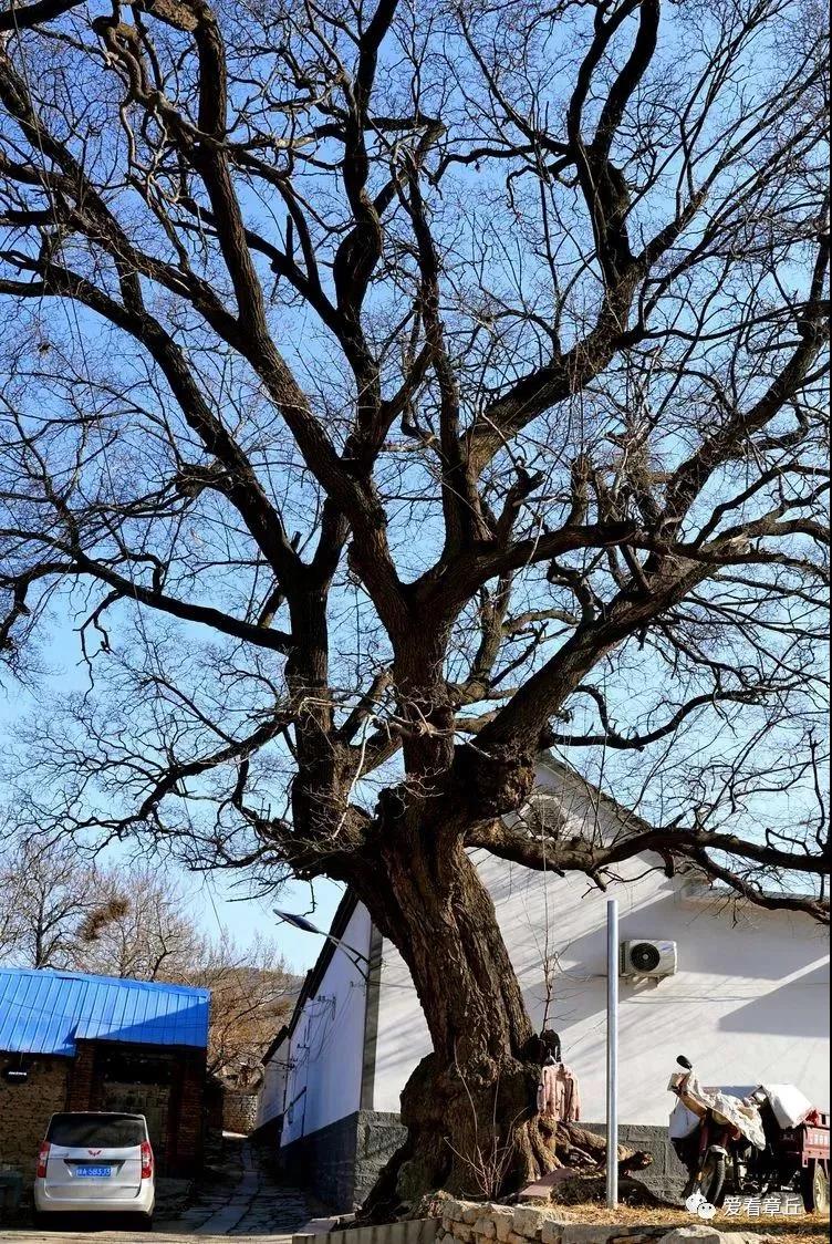 微信图片_20190315084546.jpg