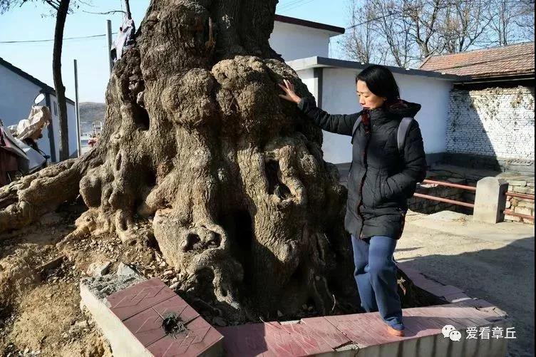 微信图片_20190315084552.jpg