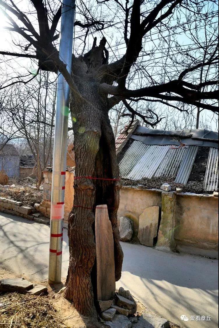 微信图片_20190315084602.jpg