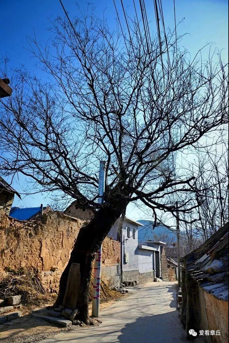 微信图片_20190315084558.jpg