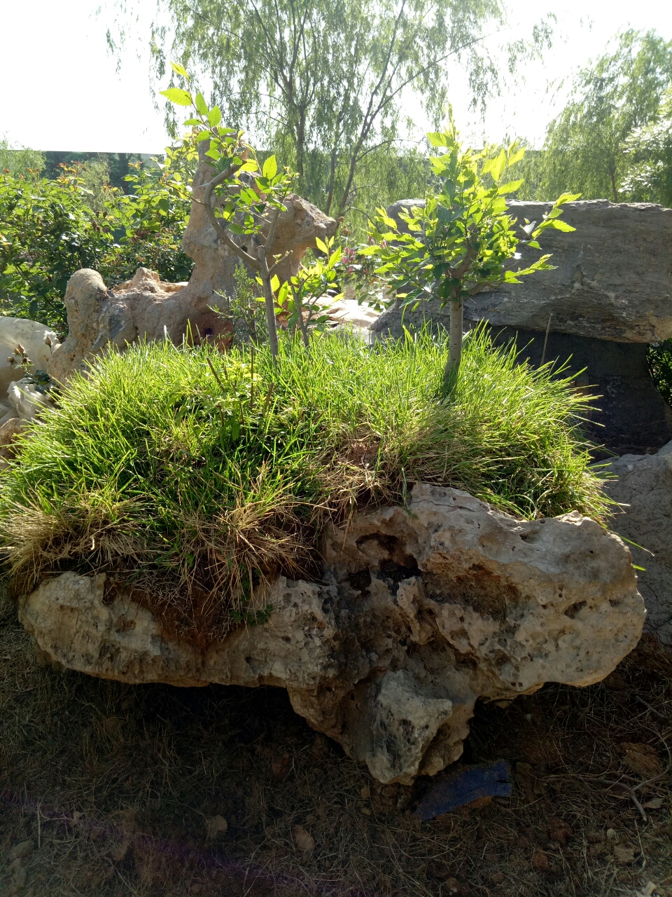 20190315_97618_1552642191422.jpg
