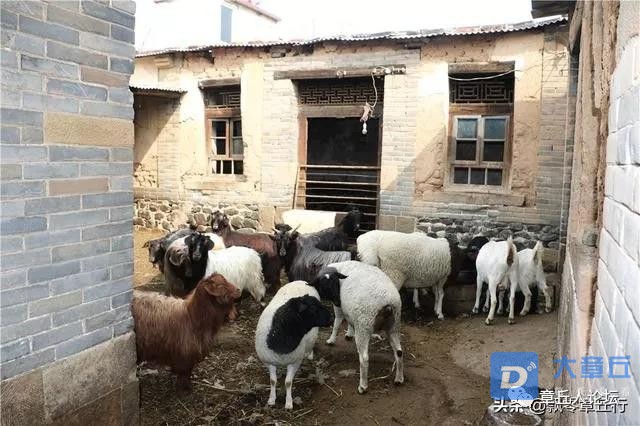 微信图片_20190319103908.jpg