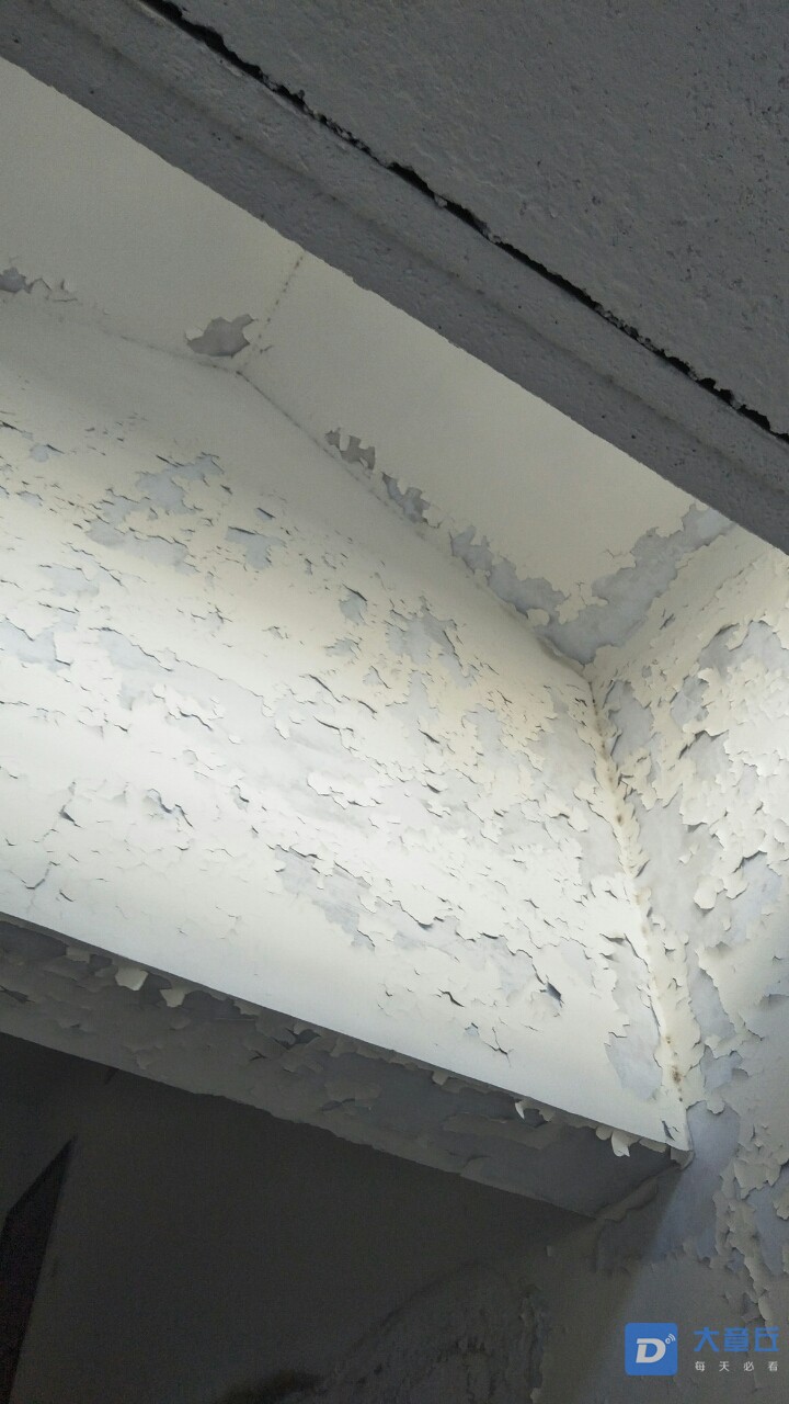 20190321_3472_1553167900145.jpg