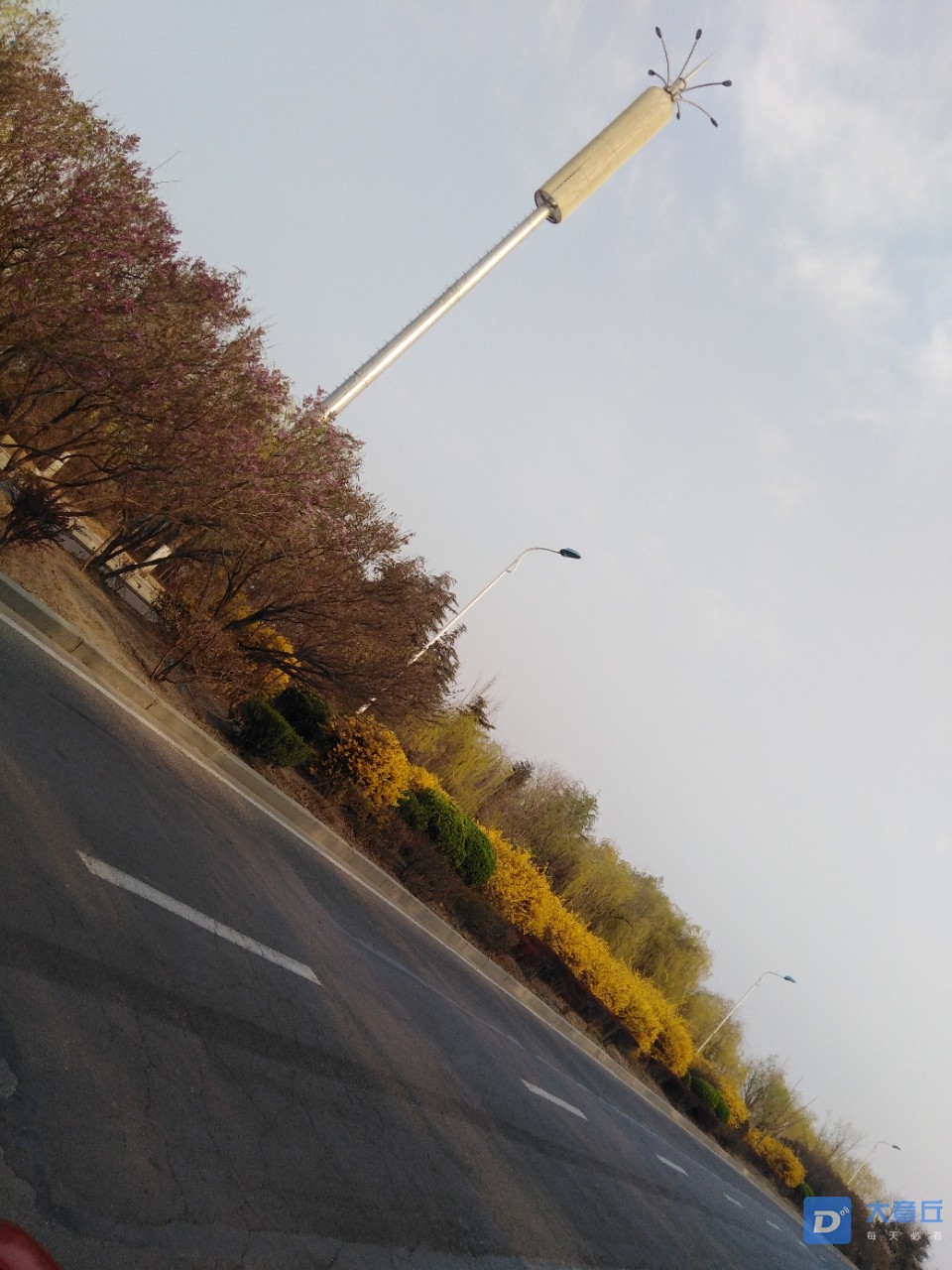 20190325_28893_1553484877983.jpg