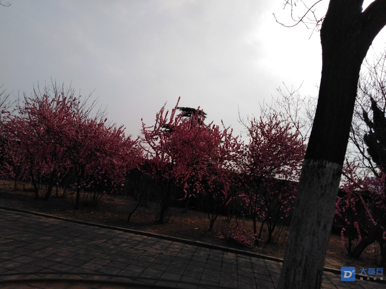 20190325_28893_1553484878802.jpg