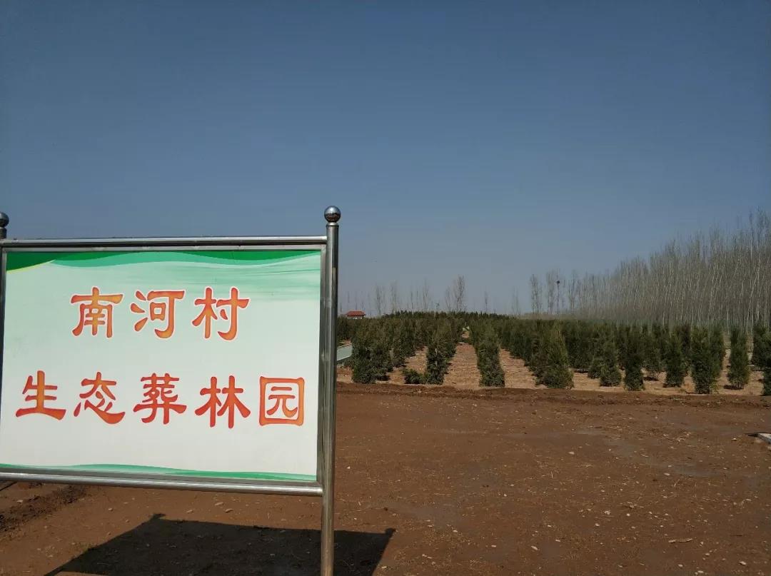 微信图片_20190326083953.jpg