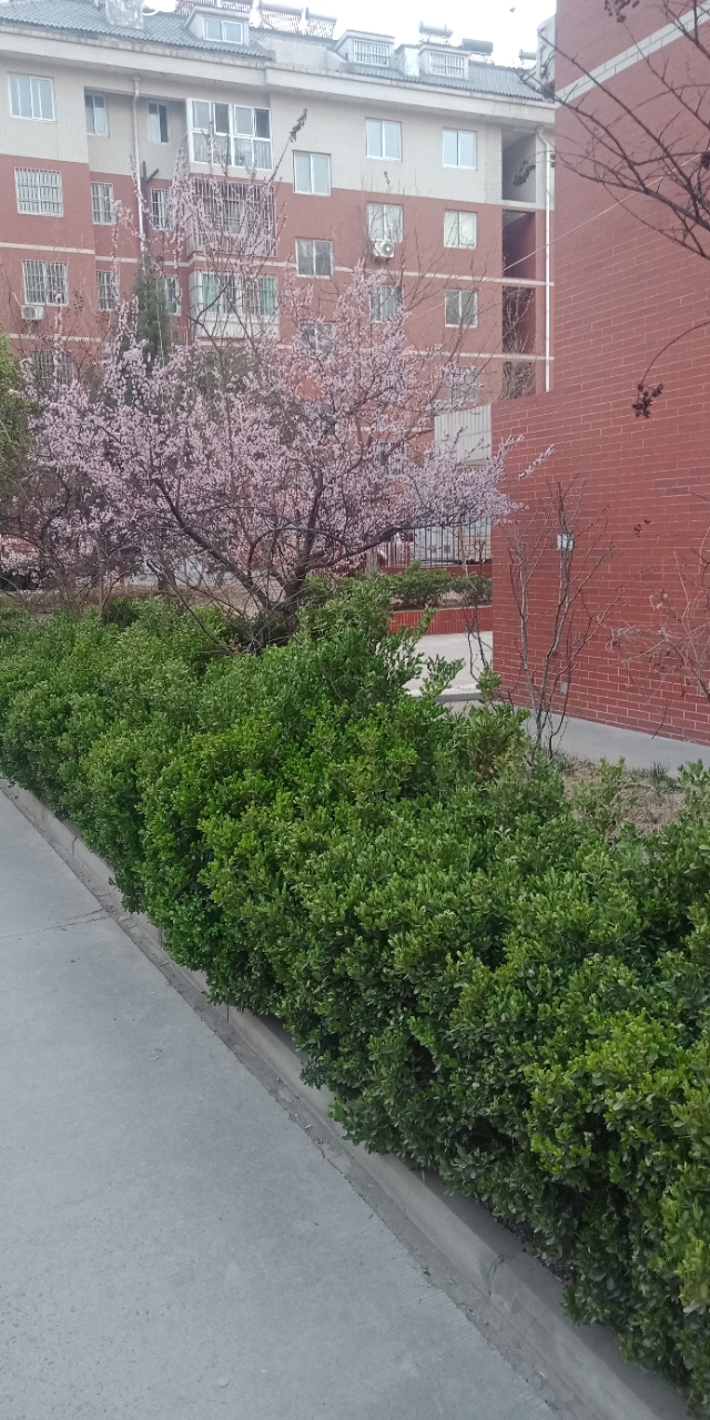 20190326_220_1553574422400.jpg