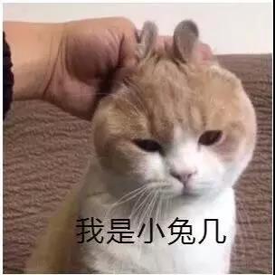微信图片_20190327103332.jpg