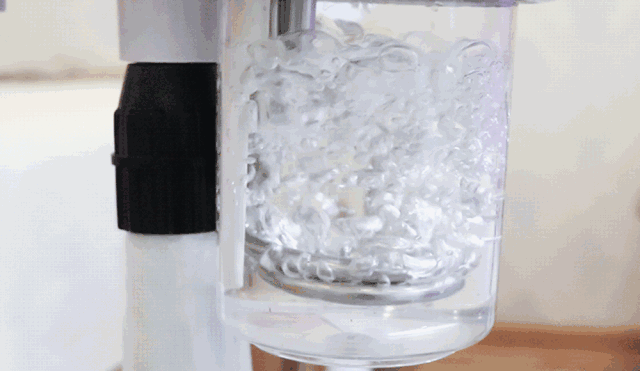 微信图片_20190328133828.gif
