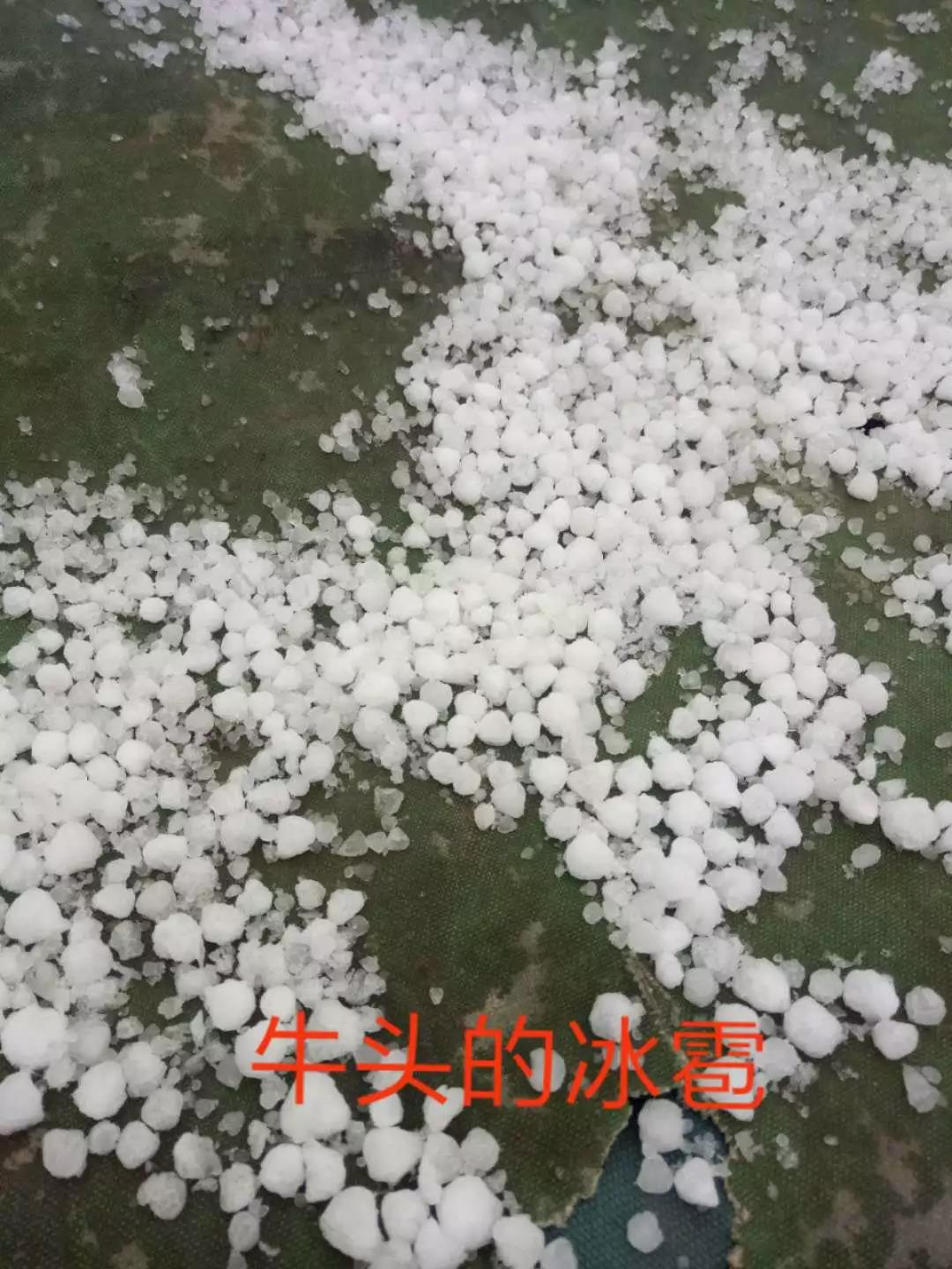 微信图片_20190328173233.jpg