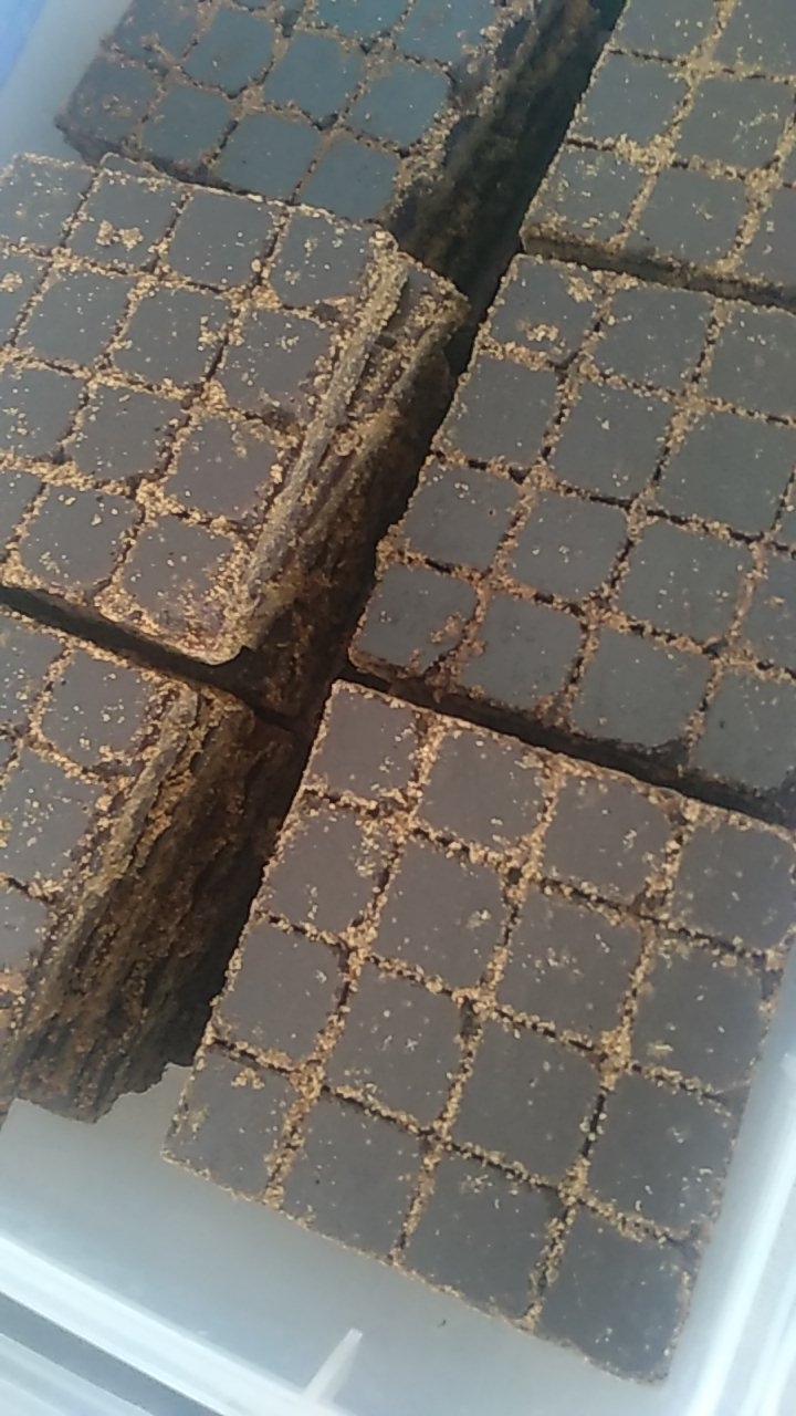20190329_85087_1553835984142.jpg