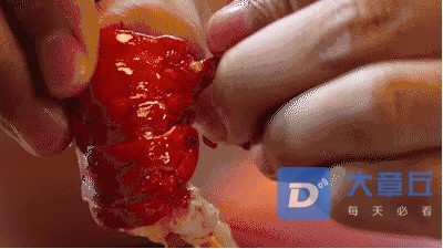 20190331759121554039496752756.jpg