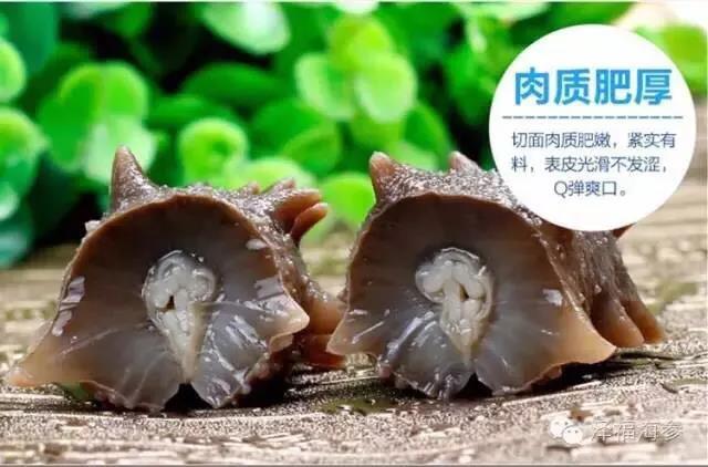 微信图片_20190402133925.jpg