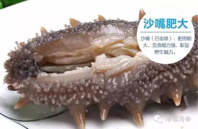微信图片_20190402133936.jpg