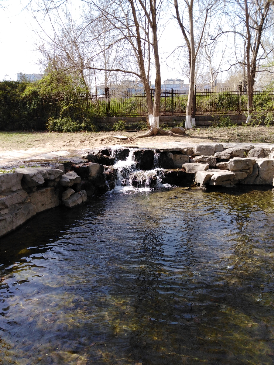 20190402_95301_1554206175238.jpg