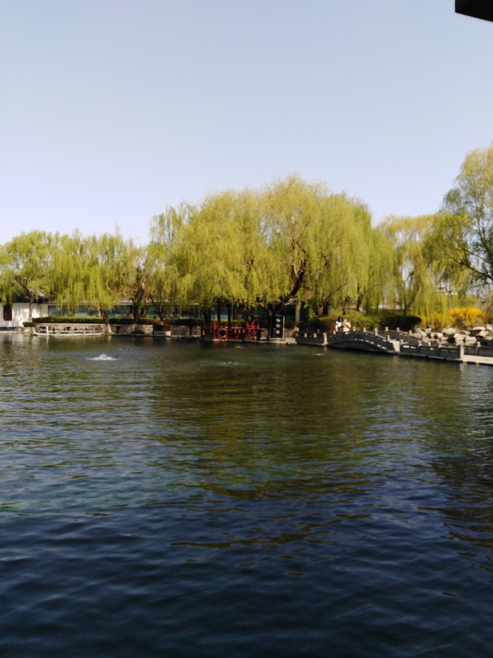 20190402_95301_1554206176080.jpg