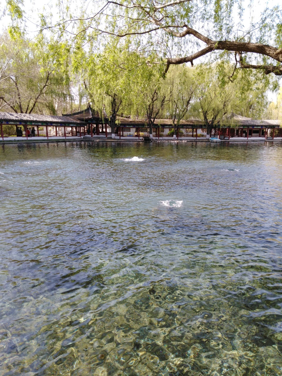 20190402_95301_1554206177664.jpg