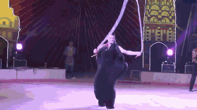 18.gif