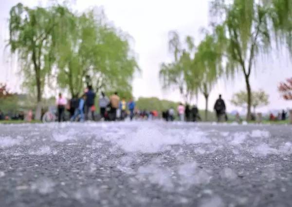 05.jpg