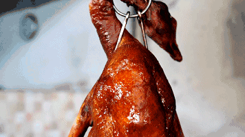 55555555.gif