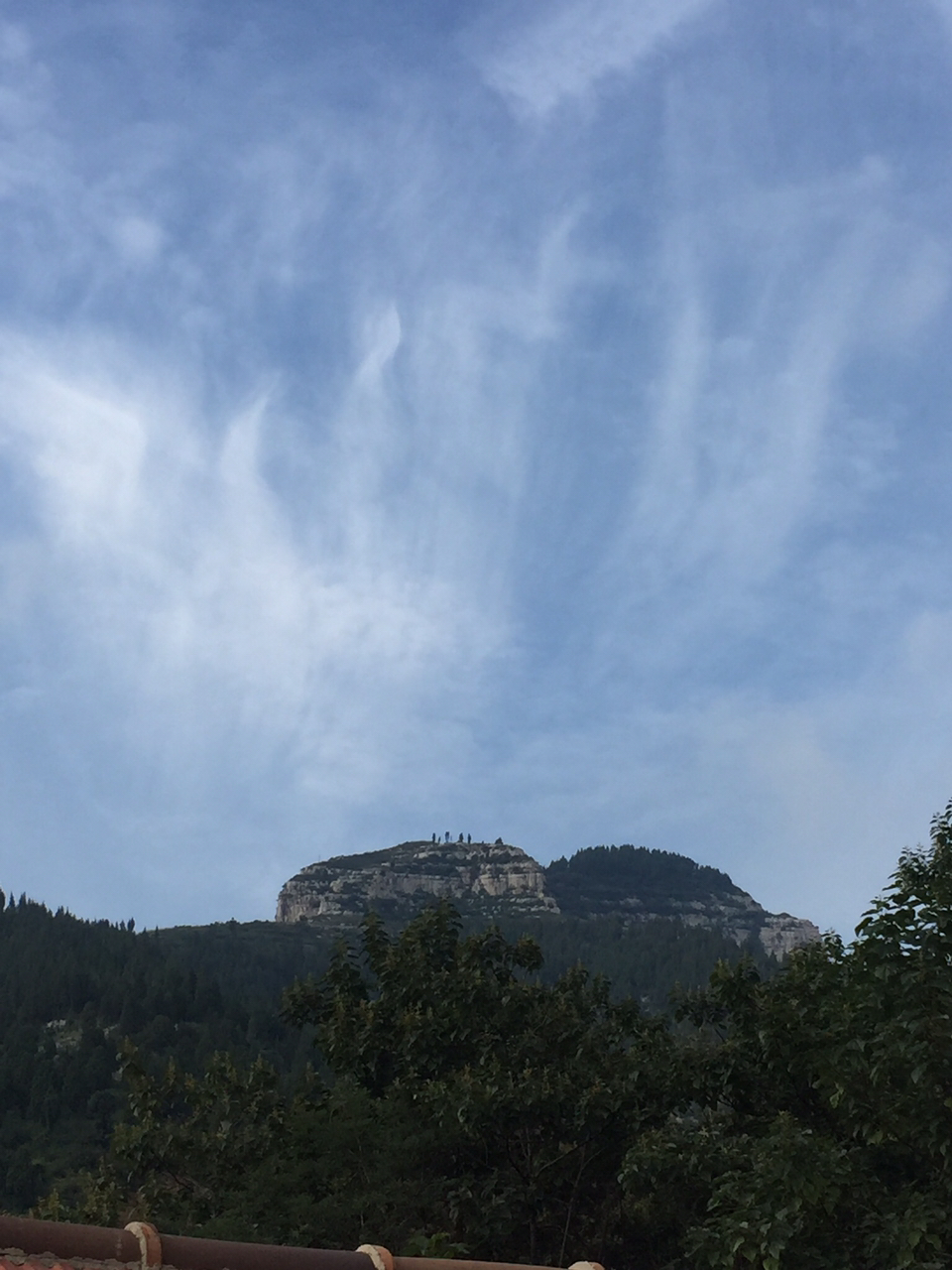2019040654041155449427165795.jpg