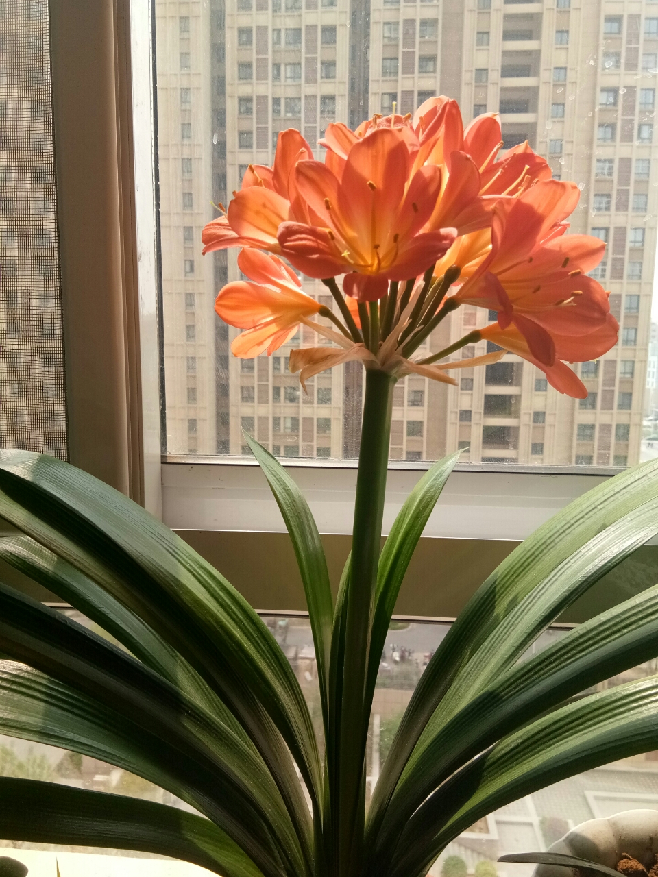 20190407_60505_1554620112501.jpg