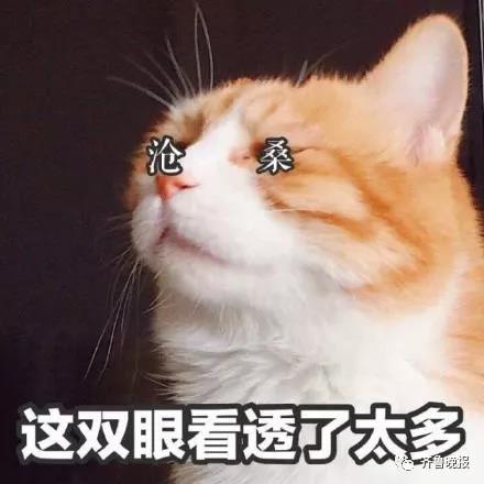 微信图片_20190409173655.jpg