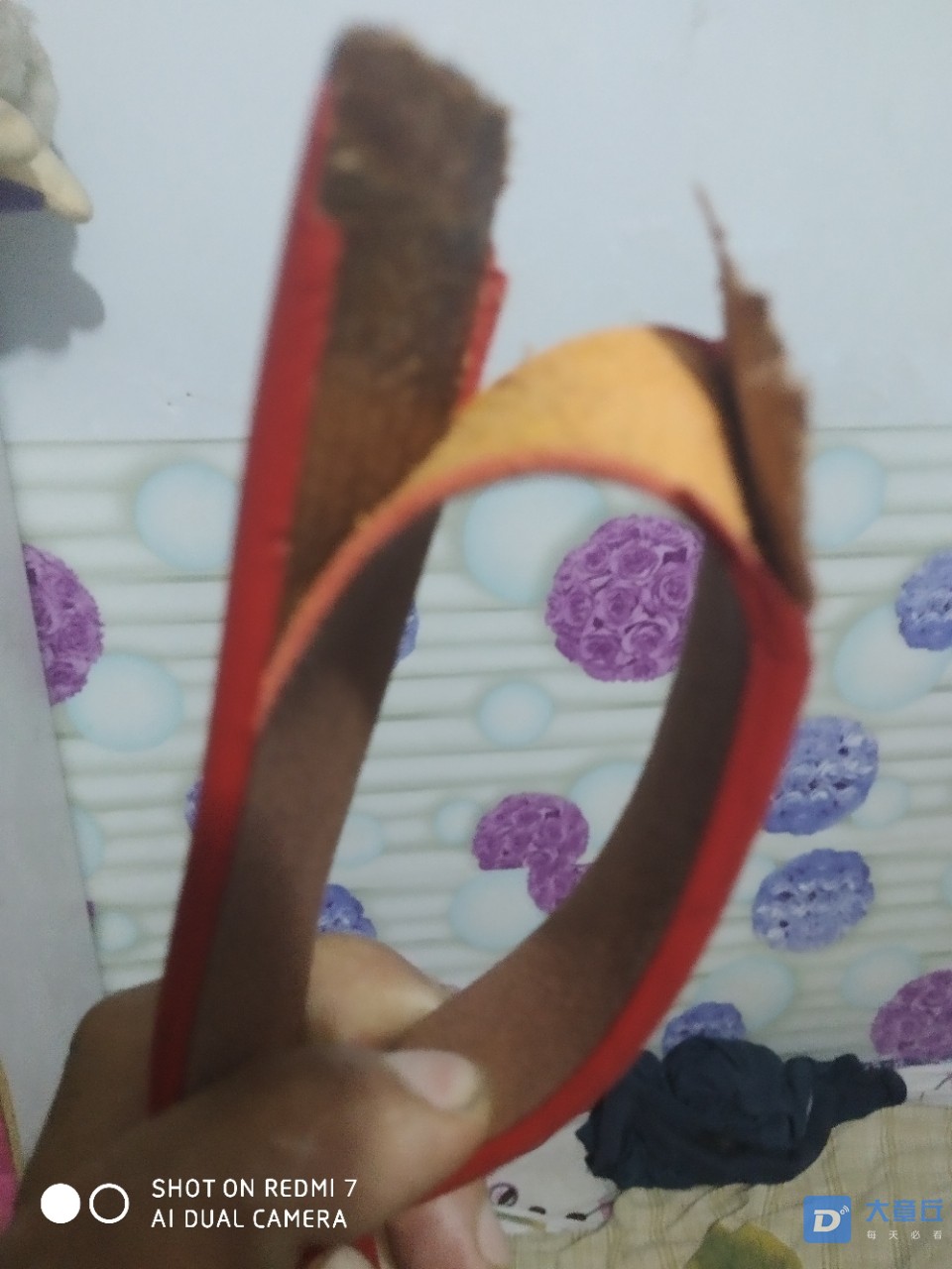 20190409_28893_1554805795675.jpg