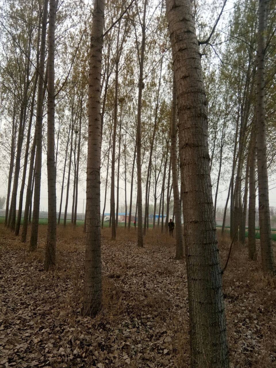20190410_98312_1554900478384.jpg