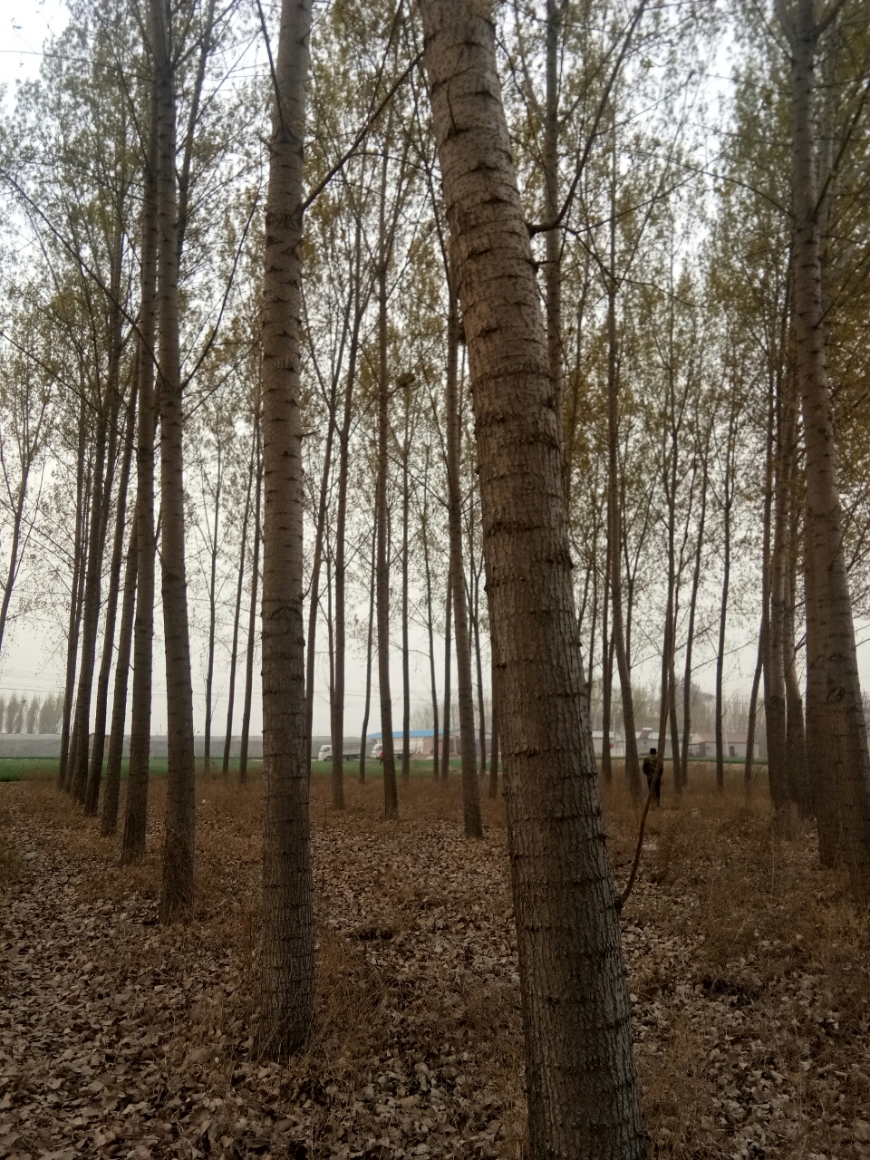 20190410_98312_1554900479015.jpg